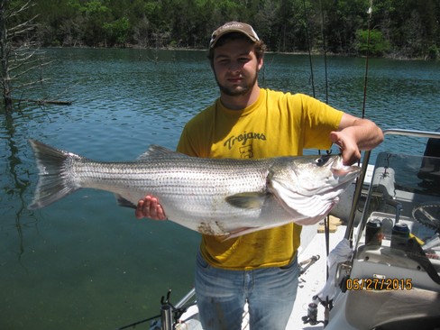 Nice Striped Bass